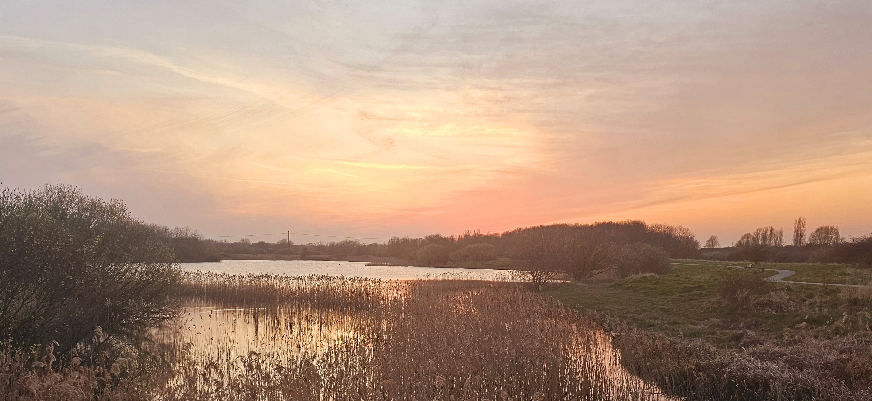 Describe the image here.